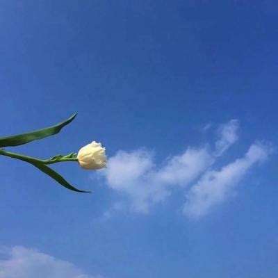 王者荣耀试玩版游戏下载